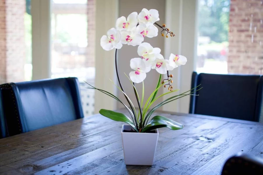 HOMESEASONS White LED Orchid Lamp - Artificial Lighted Phalaenopsis Arrangement with Pre-Lit Faux Flowers for Home Decor