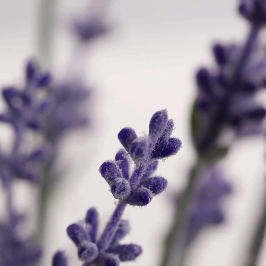 Flojery 4-Pack Silk Flocked Artificial Lavender Flowers for Wedding Centerpieces, Home Decor, and Table Arrangements