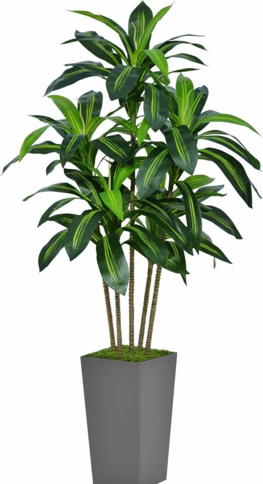 ASTIDY 5Ft Artificial Dracaena Tree in White Planter - Realistic Fake Yucca Plant for Indoor Decor, Home Office Living Room Tropical Silk Floor Plant