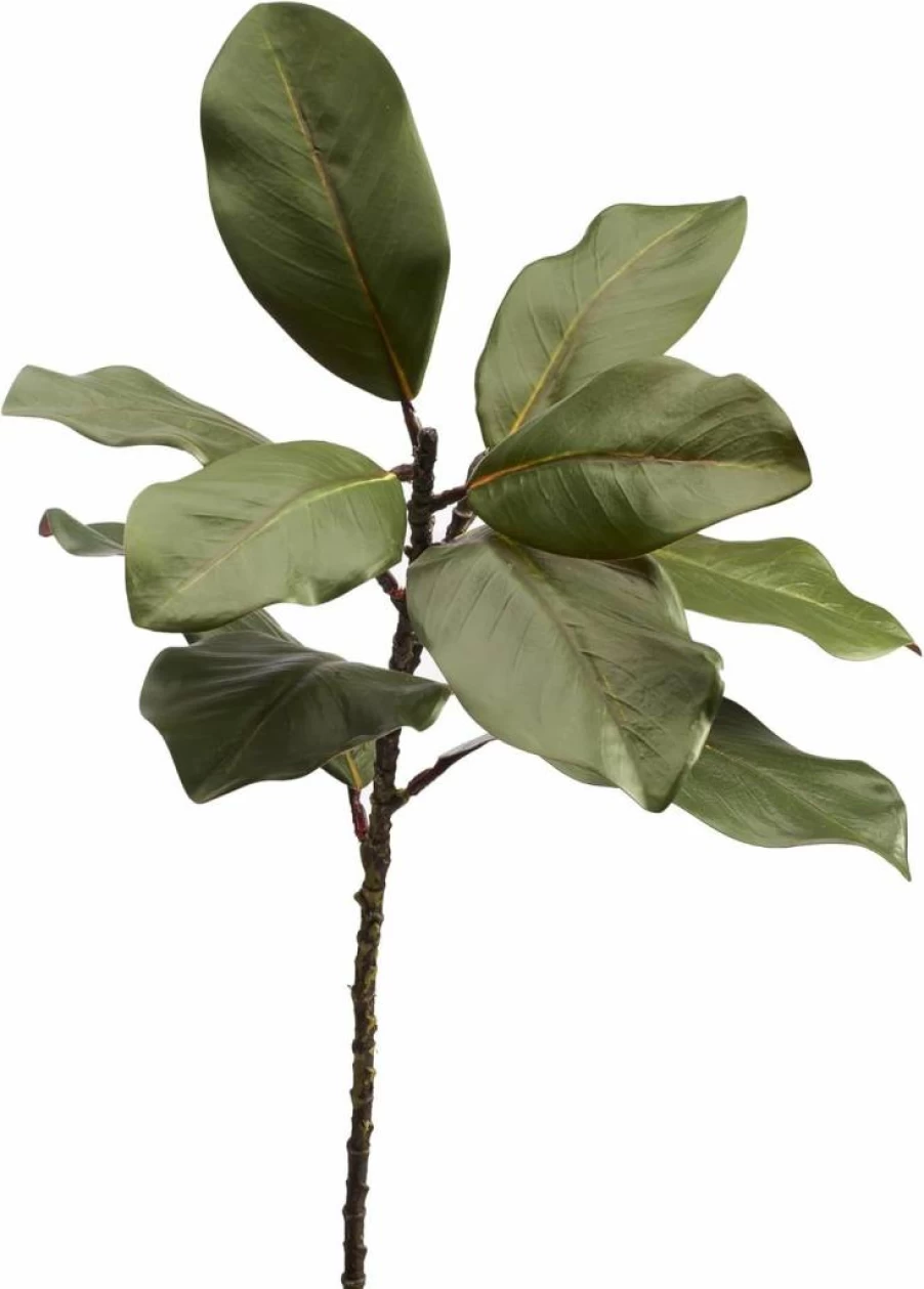 FlorisDecor 3 Stems Realistic Artificial Magnolia Grandiflora Flowers - Creamy White Southern Magnolia Stems for Home Decor