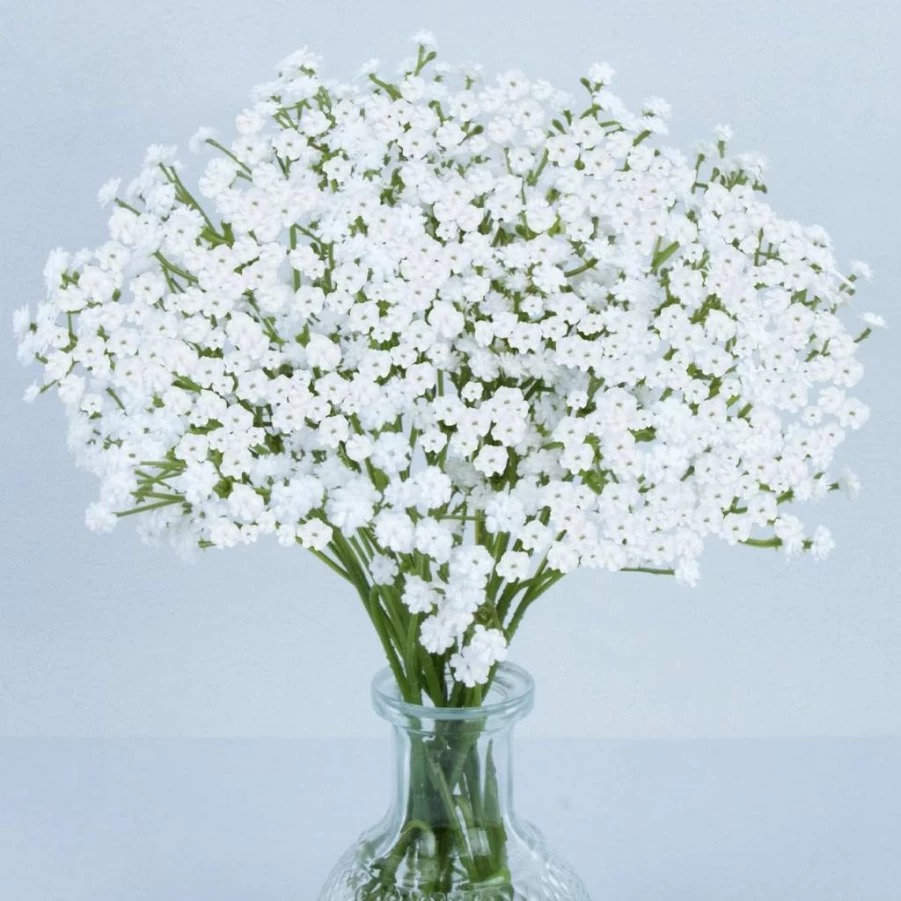 MAQIHAN Artificial Baby's Breath Flowers Bulk - White Faux Gypsophila Bouquet for Wedding Centerpieces, Table Decor, and Floral Arrangements