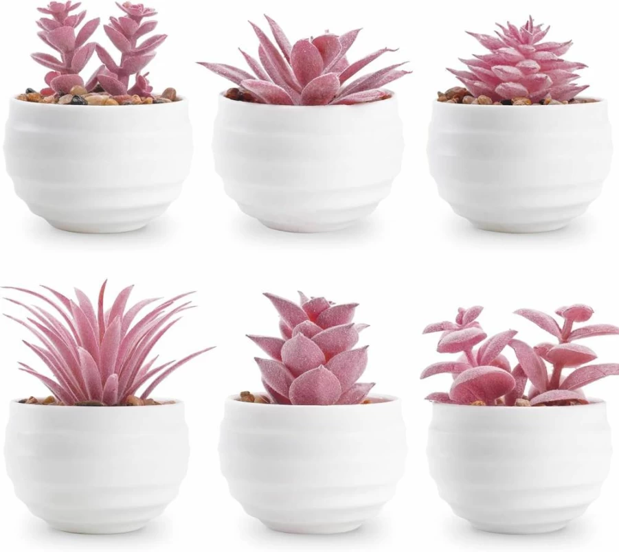Der Rose Set of 6 Artificial Succulent Plants in Pots - Small Fake Plants for Home Decor, Office, Bedroom, Bathroom, and Shelf Aesthetic