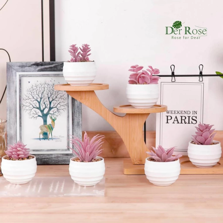 Der Rose Set of 6 Artificial Succulent Plants in Pots - Small Fake Plants for Home Decor, Office, Bedroom, Bathroom, and Shelf Aesthetic